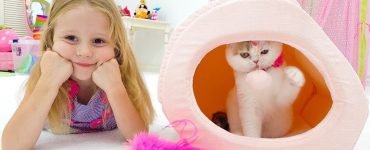 Настя и папа купили котёнка