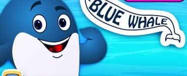 Baby Blue whale Song Lyrics Chuchu TV