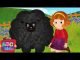 Baa Baa Black Sheep 12 Cocomelon Baa baa black sheep lyrics