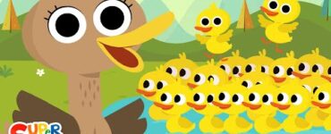 500 ducks song - Super simple song - Nursery Rhymes