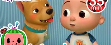 Buscando a Bingo 2 Buscando a Bingo