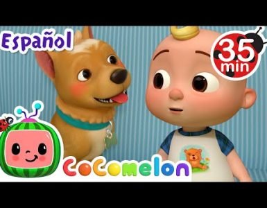 Buscando a Bingo 1 Buscando a Bingo