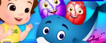 Learn about Sea Animals For Kids 11 Learn about Sea Animals For Kids