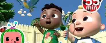 I Spy Song Cocomelon 10 I Spy Song Cocomelon