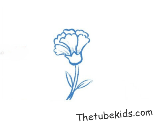 How To Draw A Carnation – A Step by Step For Kids