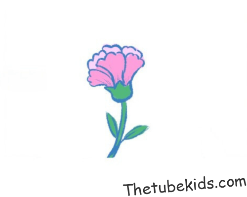 How To Draw A Carnation – A Step by Step For Kids