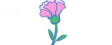 How To Draw A Carnation – A Step by Step For Kids 1 How To Draw A Carnation – A Step by Step For Kids 5