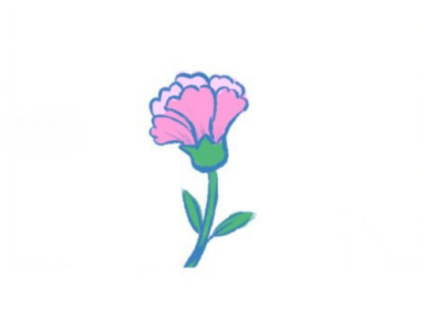 How To Draw A Carnation – A Step by Step For Kids 9 How To Draw A Carnation – A Step by Step For Kids 5