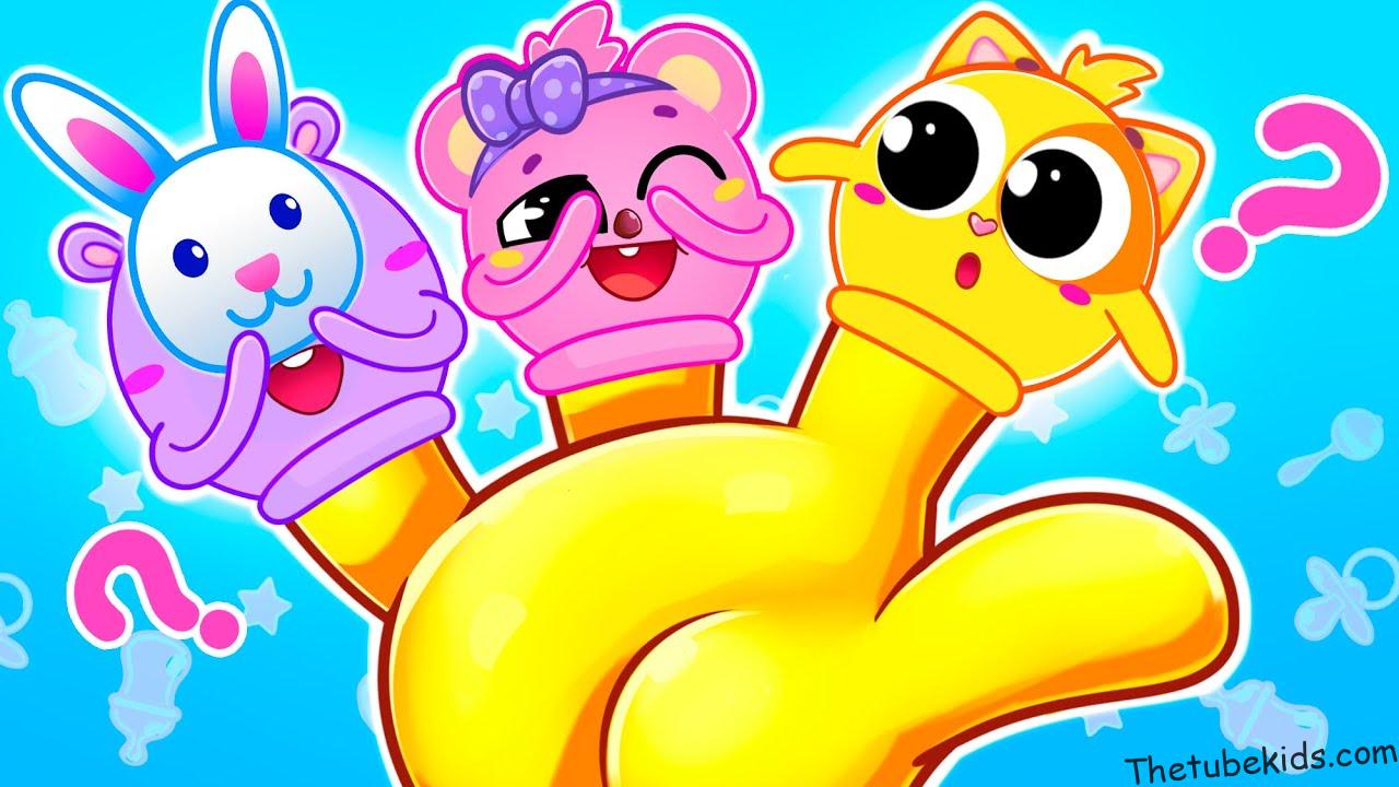 Peek A Boo Song | Toddler Zoo Songs For Children & Nursery Rhymes