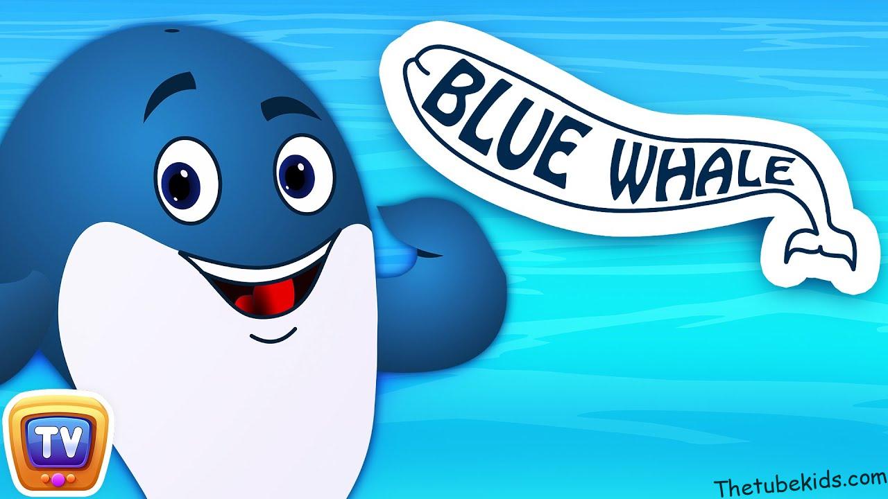 ChuChu TV Classics – Blue Whale Nursery Rhyme - Nursery Rhymes and Kids  Songs