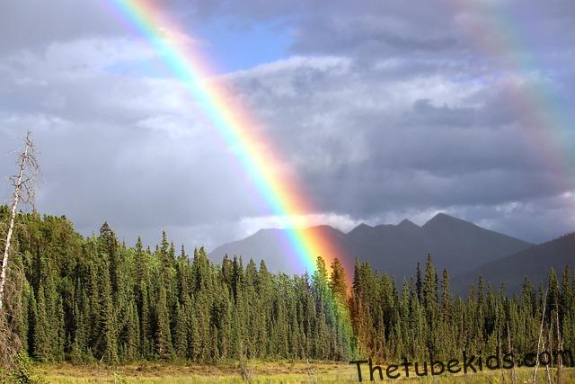 rainbow tricycle