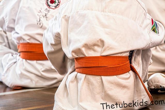 Taekwondo Yoga Kids Song: The Ultimate Resource Guide to Fun Fitness Songs for Preschoolers in 2026 4 preschool martial arts activity room